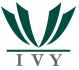 IVY Realty